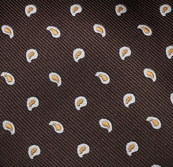 Siena 85 Paisley Tie