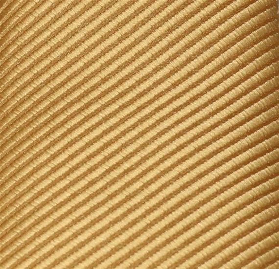 Gold Boy's Tie