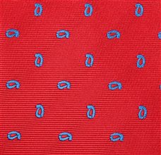 Tie with Paisley
