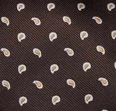 Siena 85 Paisley Tie