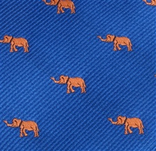 Royal Blue Boy's tie