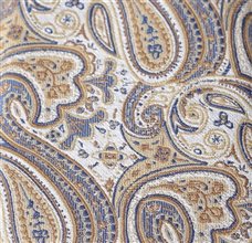 Ocher Boy's Ties with Paisley