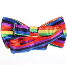 Rainbow Bow Tie