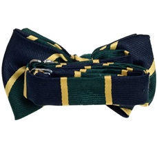 Silk Baby's Bow Tie