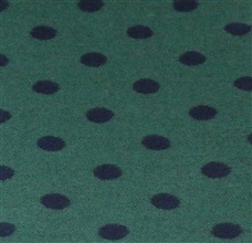 Reversible green scarf with blue dots