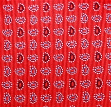 Tejido Corbata Cachemir Botti 122