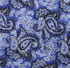 Tejido Corbata Cachemir Botti 177