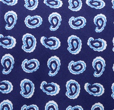 Botti 179 - Paisley Tie Fabric