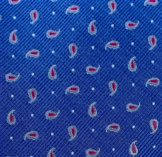 Tejido Corbata Cachemir Botti 42