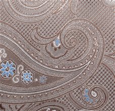 Tejido Corbata Paisley Botti 203
