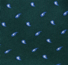 Tela pajarita y pañuelo verde con cachemir azul