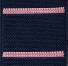 Blue with Pink Stripes Elastic Braces