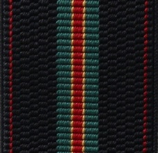 Blue Stripes Elastic Braces