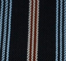 Navy Blue Striped XXL Braces
