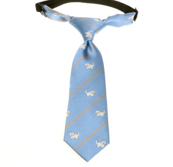Corbata Bebé Gatitos Azul Celeste