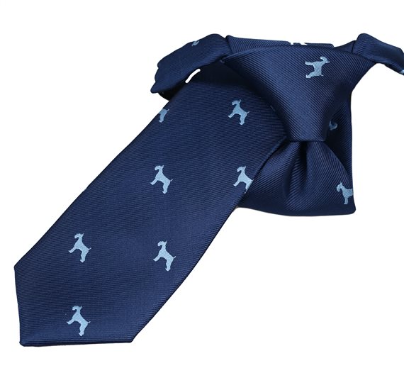Corbata Niño Azul Schnauzer