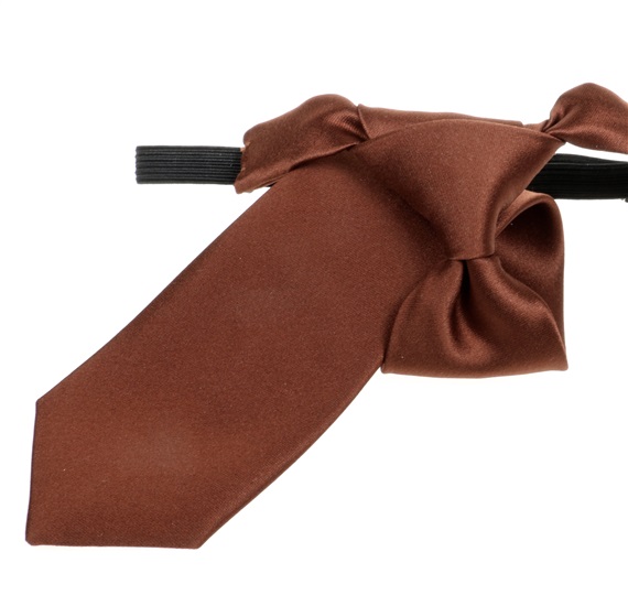 Brown Boy's Tie