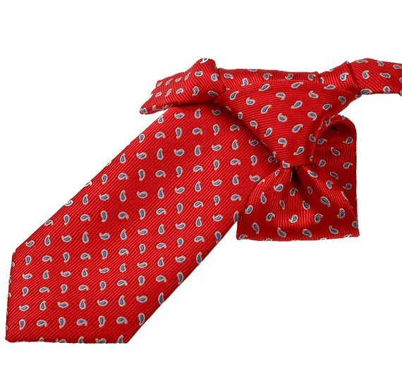 Red Boy's Tie with Blue Paisley