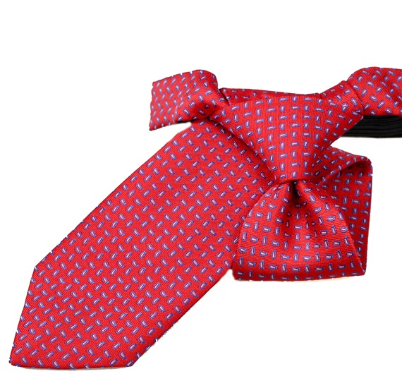Red Boy's Tie with Blue Paisley