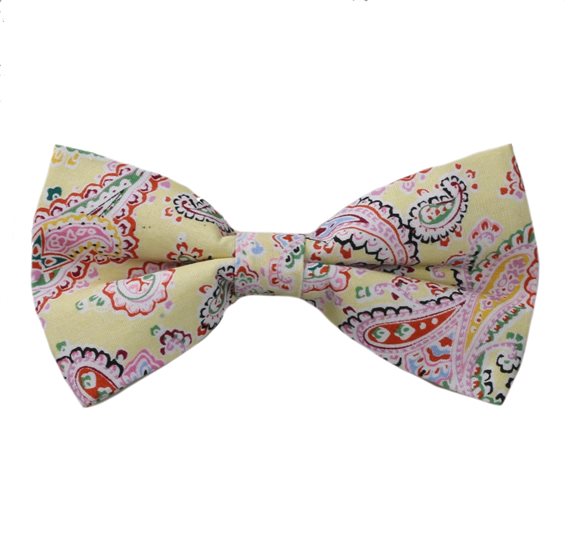 Pajarita Amarilla con Paisley