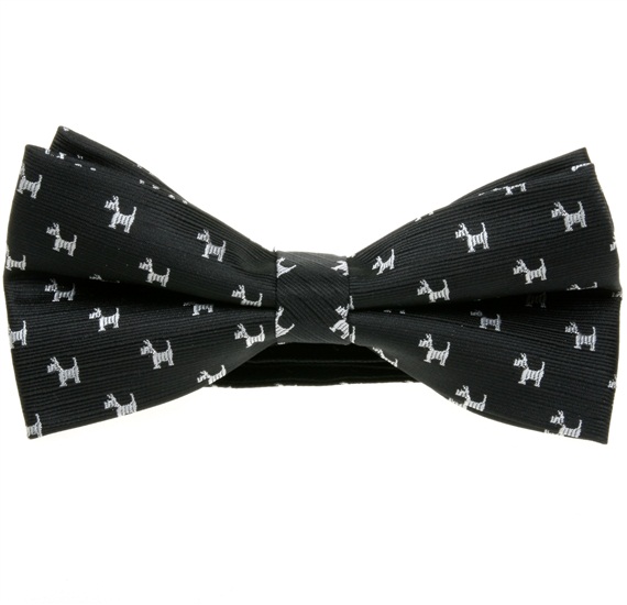 Pajarita Negra Schnauzer Blanco