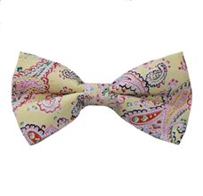 Pajarita Amarilla con Paisley