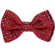 Garnet Silk Boys' Bow Tie with White Dots